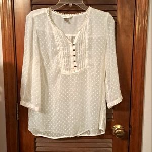 Christopher & Banks Sheer White Glitter Dot Blouse